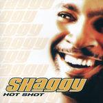 Hot Shot (2001)