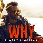 Why (2018)