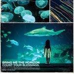 Слушать альбом - Count Your Blessings (2006)