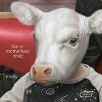 Слушать альбом - Like A Motherless Child (2017)