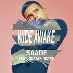 Wide Awake (2016)