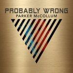 Probably Wrong (2017)