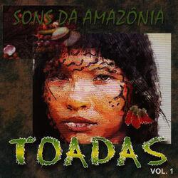 Слушать альбом - Toadas - Vol 1