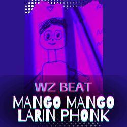 Слушать альбом - Mango Mango Larin Phonk