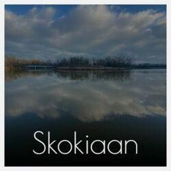 Слушать альбом - Skokiaan