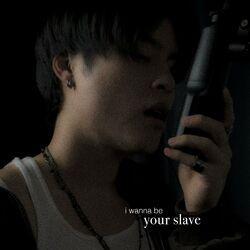 i wanna be your slave