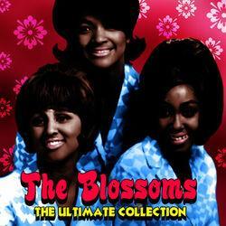 The Ultimate Collection