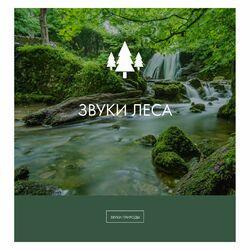 Слушать альбом - Звуки леса