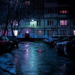 Дима в тумане
