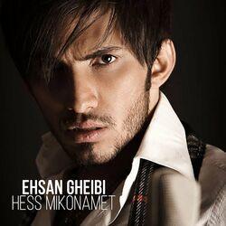 Hess Mikonamet