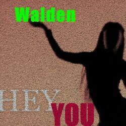 Hey You