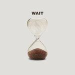 Wait (2019)