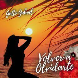 Слушать альбом - Volver a Olvidarte