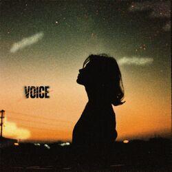 Voice