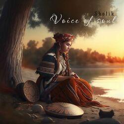Слушать альбом - Voice of Soul