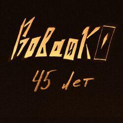 45 лет