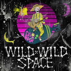 Wild Wild Space