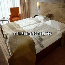 Слушать альбом - 40 All Wild Tracks For Relaxing