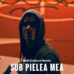 Слушать альбом - Sub pielea mea (Midi Culture Remix)