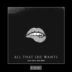 All That She Wants (Techno Remix)