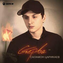 Стерва