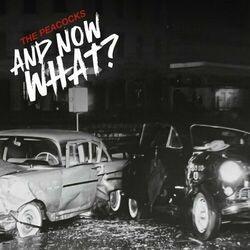 Слушать альбом - And Now What?