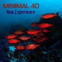 Слушать альбом - Minimal 40 New Experience