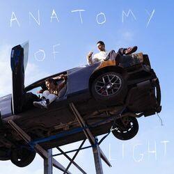 Слушать альбом - ANATOMY OF LIGHT