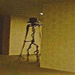 BACKROOMS