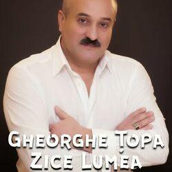 Обложка альбома Zice Lumea