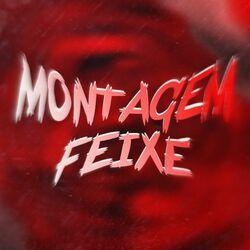 MONTAGEM FEIXE