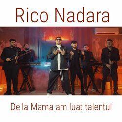 Слушать альбом - De la Mama am luat talentul