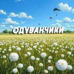 Одуванчики