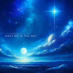 Слушать альбом - Meet Me in the Sky