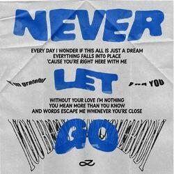 Слушать альбом - Never Let Go