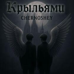 Крыльями