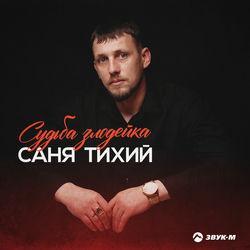 Слушать альбом - Судьба злодейка