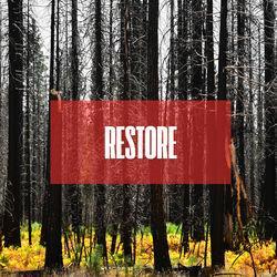 Слушать альбом - RESTORE
