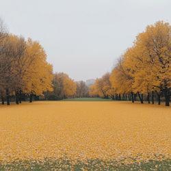 Осенняя пора