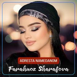 Слушать альбом - Adresta Namedanom