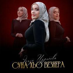 Обложка альбома Суна хьо везнера