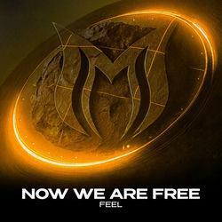 Обложка альбома Now We Are Free