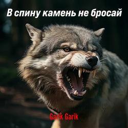 Обложка альбома В спину камень не бросай