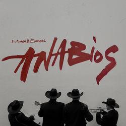 Обложка альбома ANABIOS