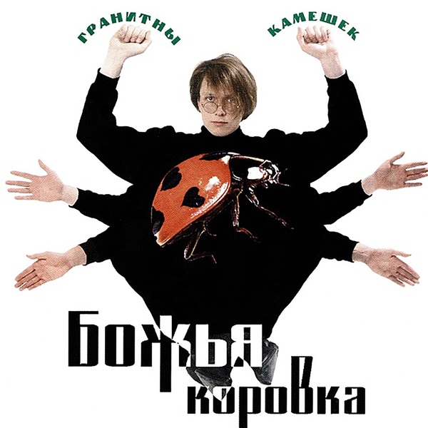 Обложка альбома Гранитный камушек