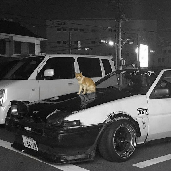 Обложка трека kitty pnonk