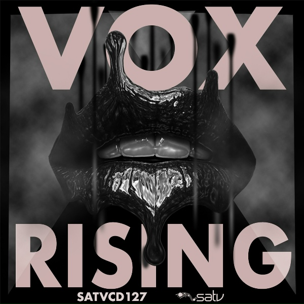 Обложка альбома Vox Rising