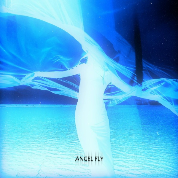 Обложка альбома Angel Fly