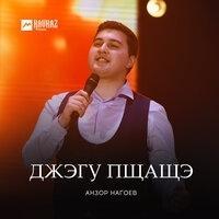 Анзор Нагоев