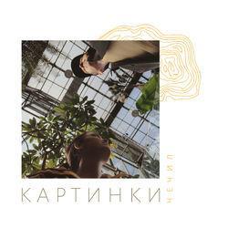 Картинки